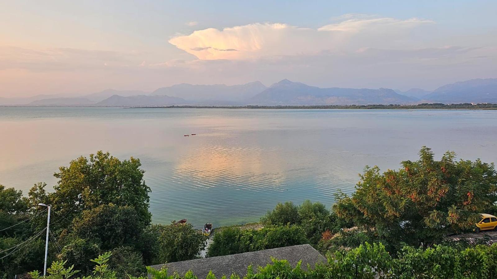 Shiroka's Special Guest Shkoder